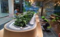 THI CÔNG CĂN TIN TẬP ĐOÀN UNILEVER - CỦ CHI